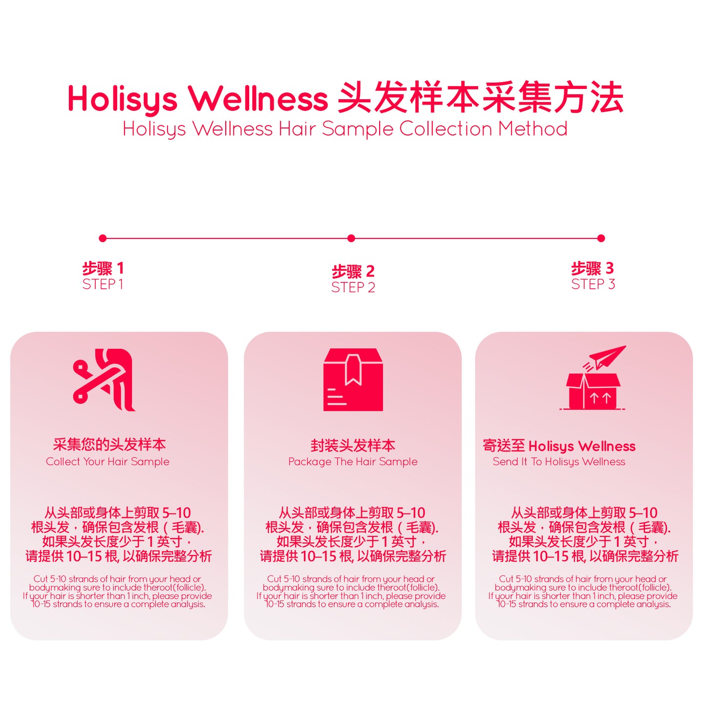 Holisys 食物平衡洞察