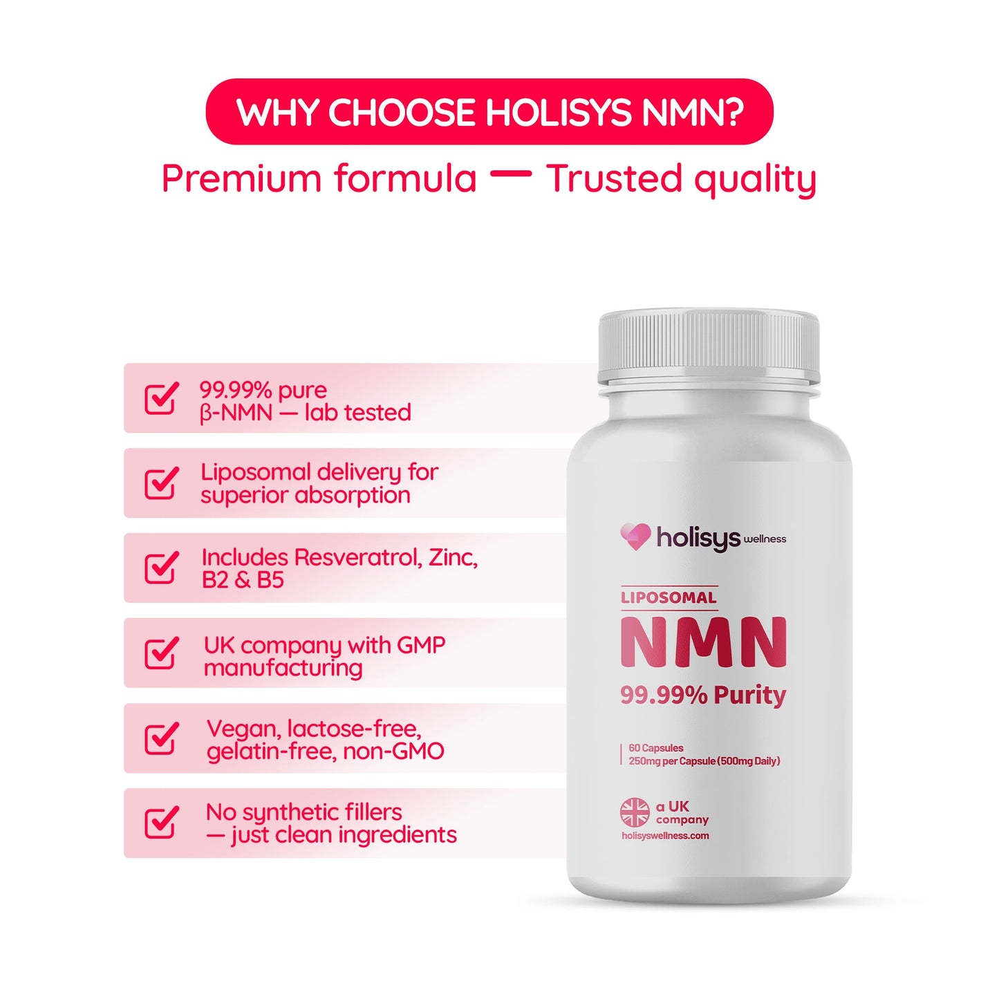 Holisys 全新 NMN – 烟酰胺单核苷酸片剂