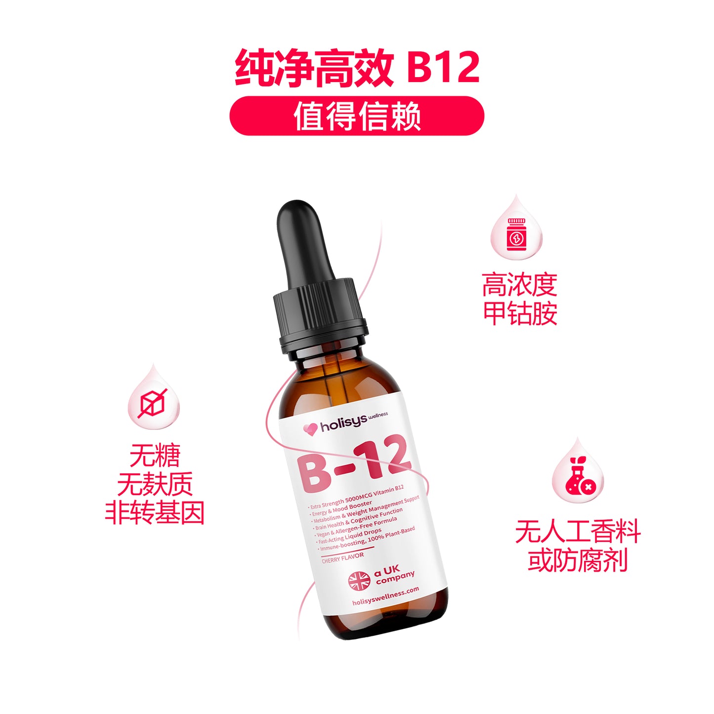 Holisys 维生素 B12 液体营养滴剂