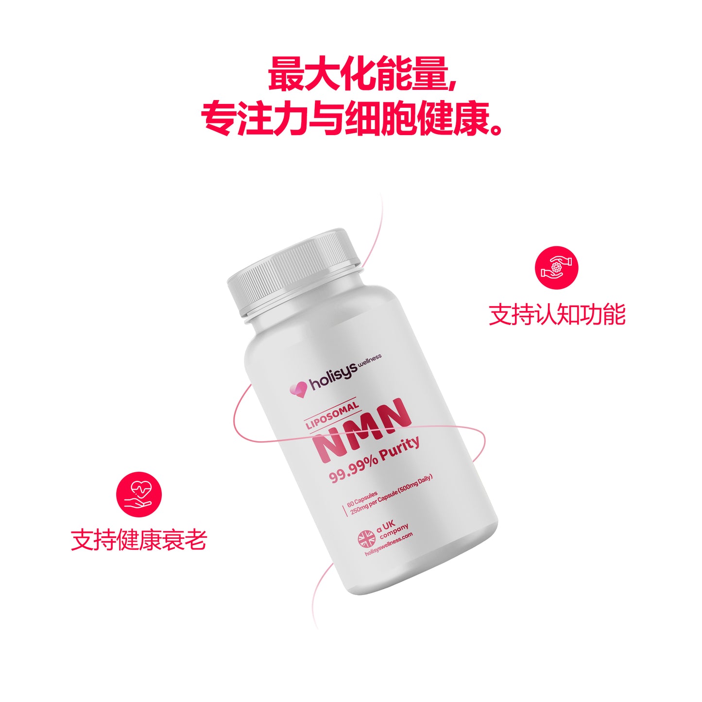 Holisys 全新 NMN – 烟酰胺单核苷酸片剂