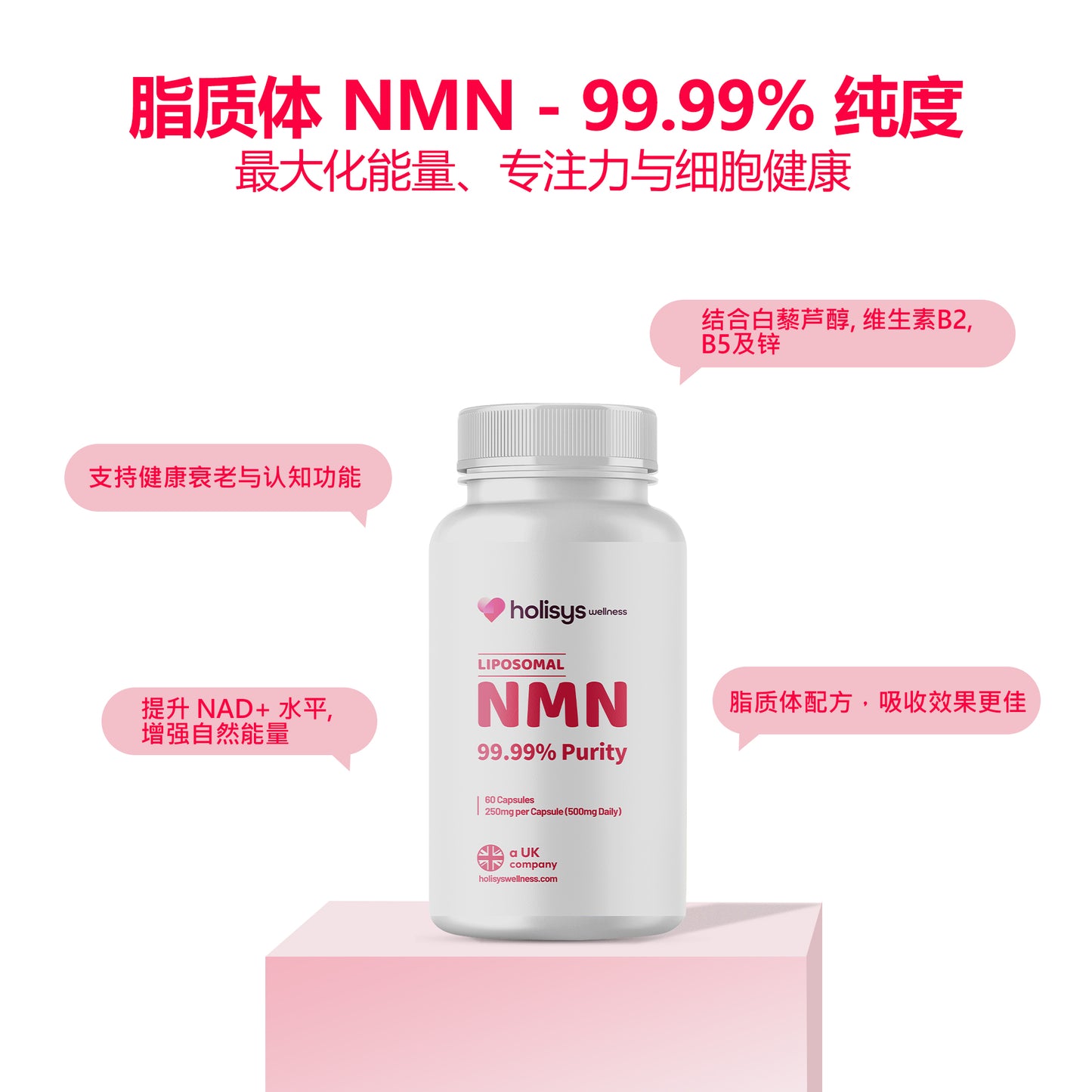 Holisys 全新 NMN – 烟酰胺单核苷酸片剂