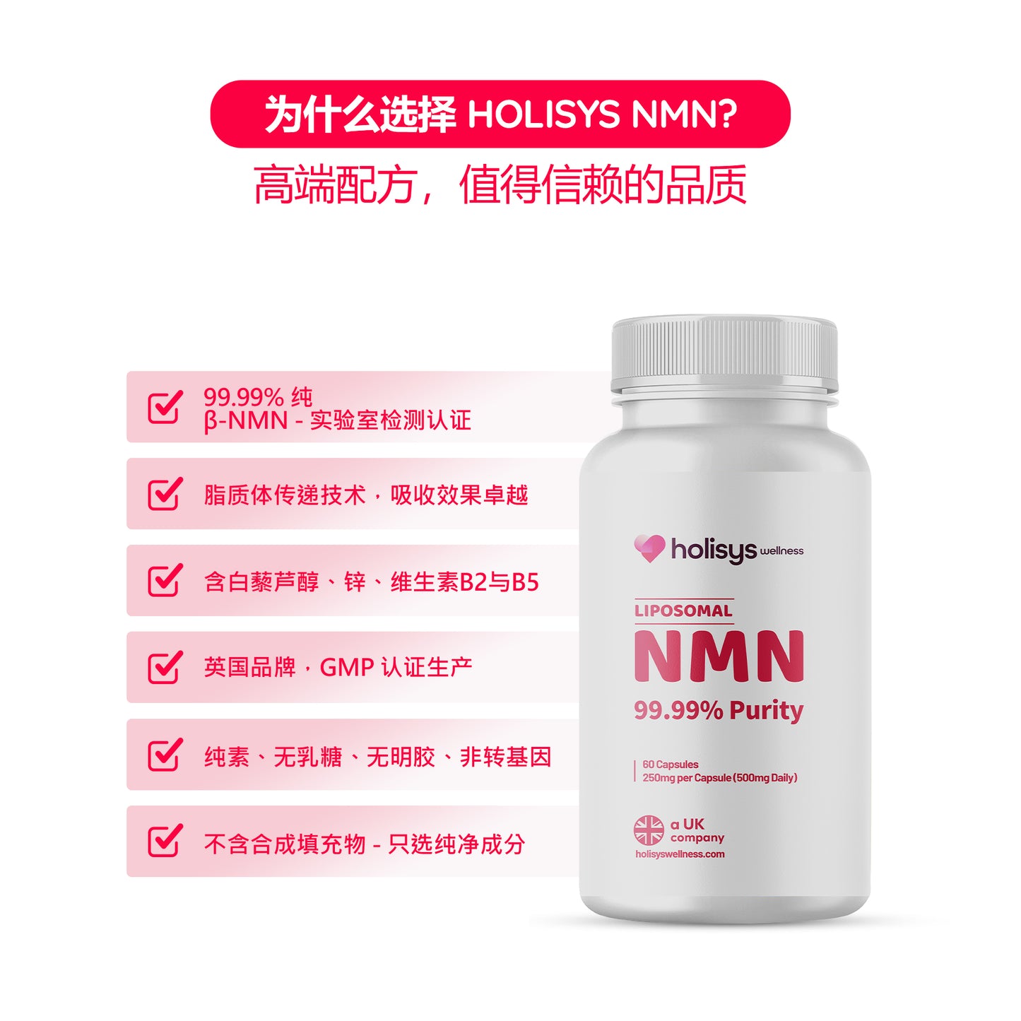 Holisys 全新 NMN – 烟酰胺单核苷酸片剂